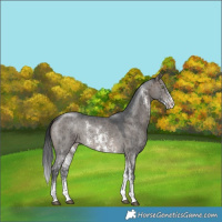 Horse Color:Brown Dun Sabino Brindle