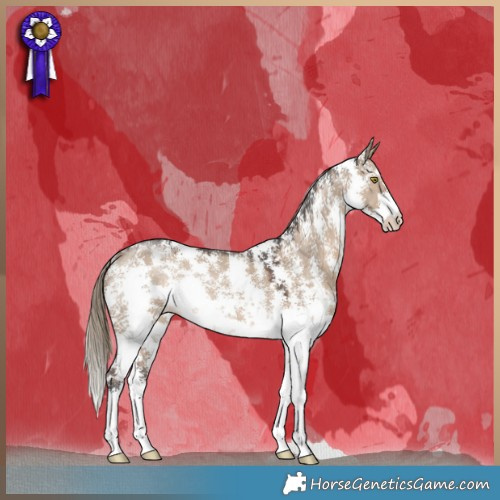 Horse Color:Liver Red Dun Sabino Rabicano 