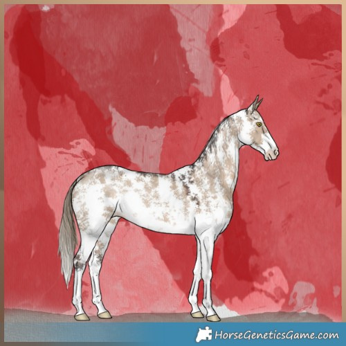 Horse Color:Liver Red Dun Sabino Rabicano 