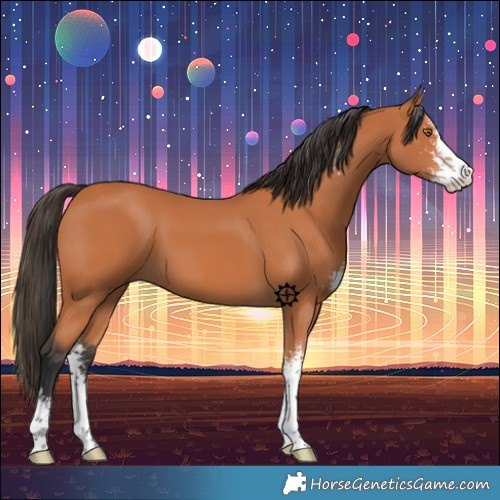 Horse Color:Bay Sabino 
