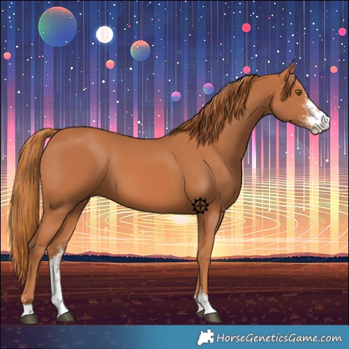 Horse Color:Chestnut Sabino 
