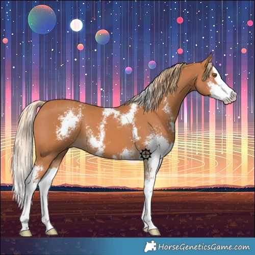 Horse Color:Chestnut Sabino Splash 