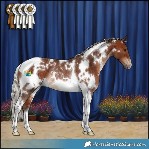 Horse Color:White Spotted Silver Bay Tobiano Rabicano 