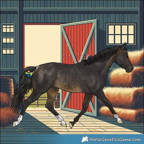 Horse Color:Buckskin Rabicano 
