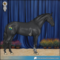 Horse Color:Black Tobiano 