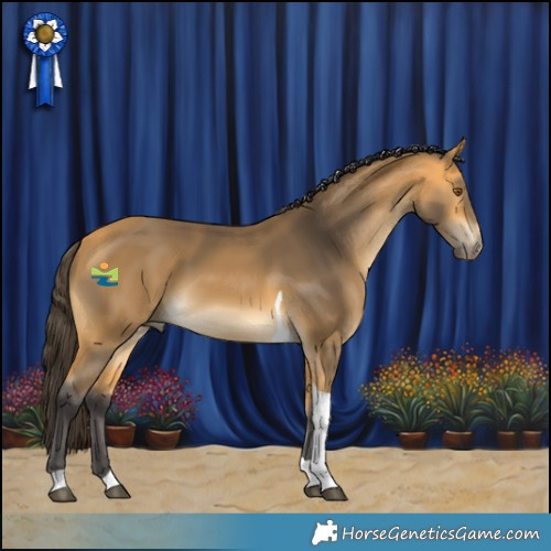 Horse Color:Buckskin Tobiano 