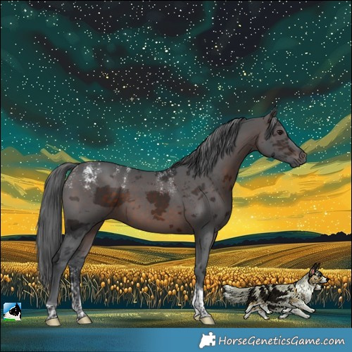 Horse Color:Powder White Brown Merle Tobiano 