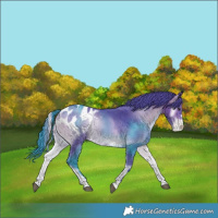 Horse Color:Watercolor Brown Onyx Blanket Rabicano