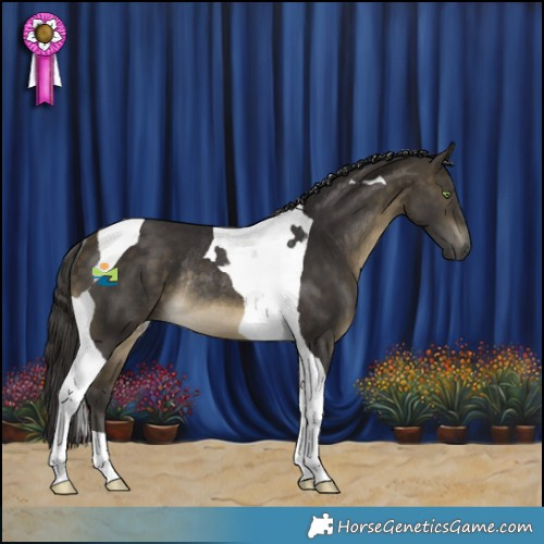 Horse Color:Buckskin Tobiano Rabicano