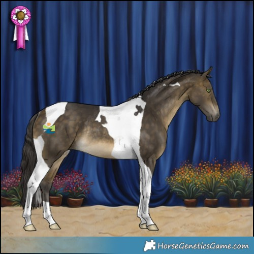 Horse Color:Buckskin Tobiano Rabicano 