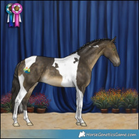 Horse Color:Buckskin Tobiano Rabicano