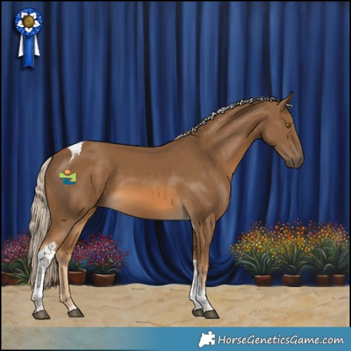 Horse Color:Chocolate Palomino Tobiano 