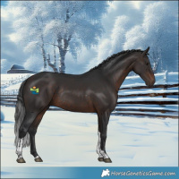 Horse Color:Brown Tobiano Rabicano
