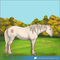 Horse Color:Gold Champagne Dun 