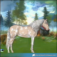 Horse Color:White Spotted Cremello 