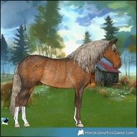 Horse Color:Chocolate Palomino Rabicano 
