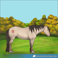 Horse Color:Amber Champagne Dun 