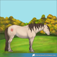 Horse Color:Amber Champagne Dun 