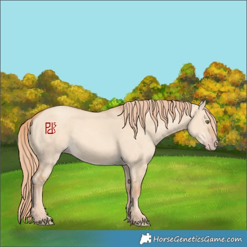 Horse Color:Gold Champagne Dun