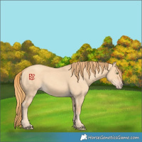 Horse Color:Gold Champagne Dun 