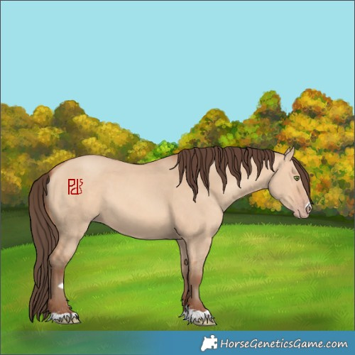 Horse Color:Amber Champagne Dun 