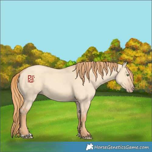 Horse Color:Gold Champagne Dun 