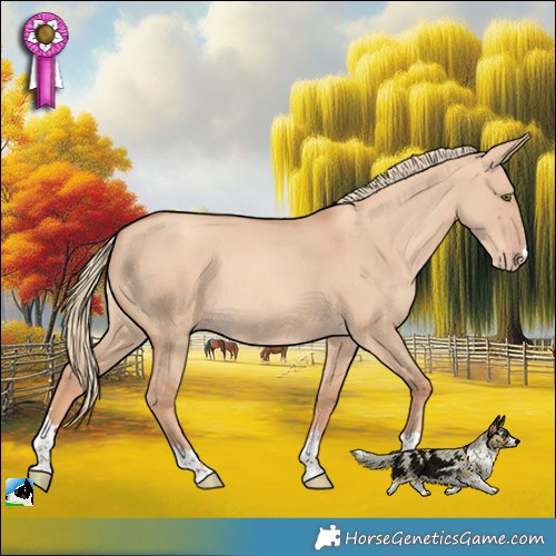 Horse Color:Gold Champagne Dun Rabicano 