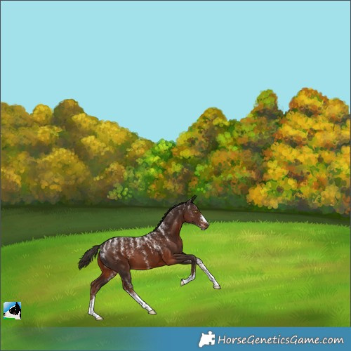 Horse Color:Powder White Liver Chestnut 