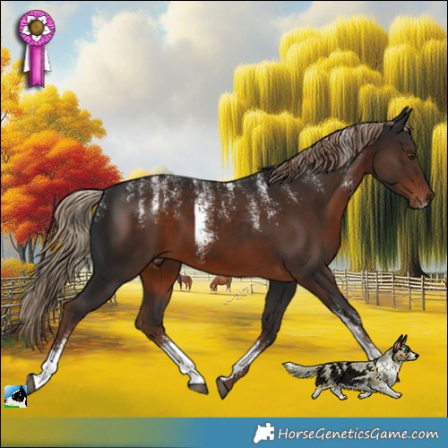 Horse Color:Powder White Liver Chestnut 