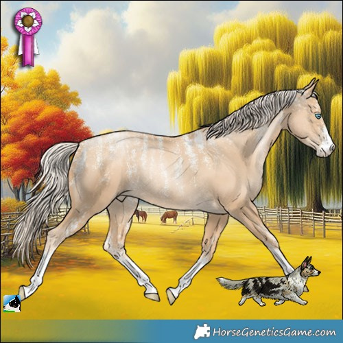 Horse Color:Powder White Gold Cream Champagne Pearl 