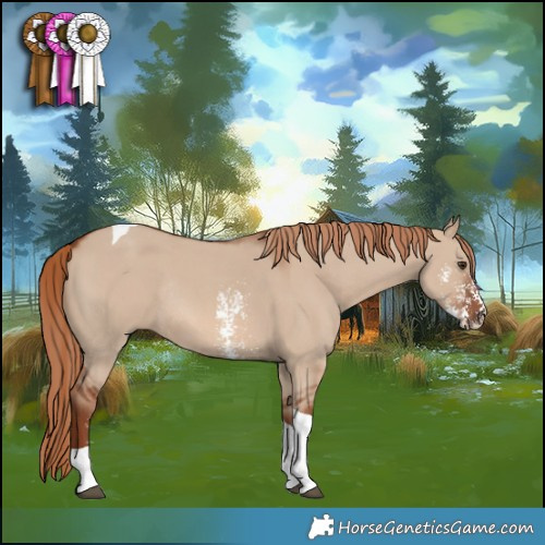 Horse Color:Red Dun Sabino Tobiano Rabicano 