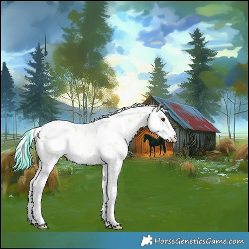 Horse Color:Watercolor White Spotted Classic Champagne Dun Sabino 