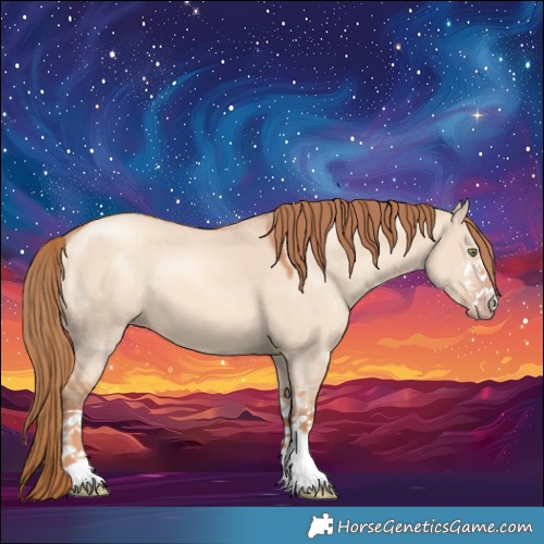 Horse Color:White Spotted Gold Champagne Dun