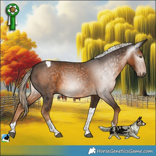 Horse Color:Gray Chocolate Palomino Tobiano 