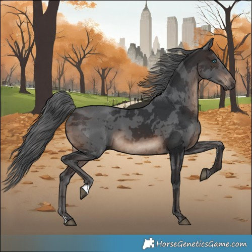 Horse Color:Brown Merle 