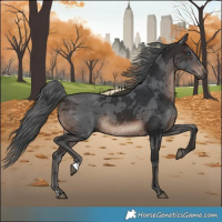 Horse Color:Brown Merle 