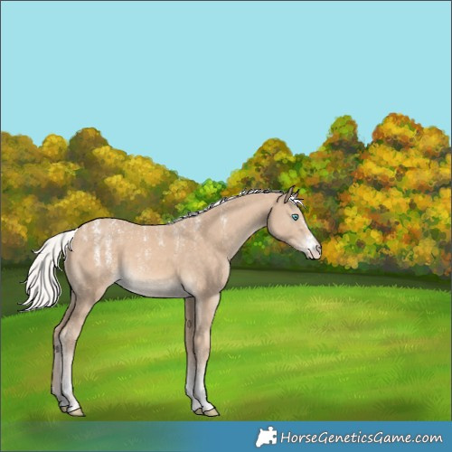 Horse Color:Powder White Silver Perlino 