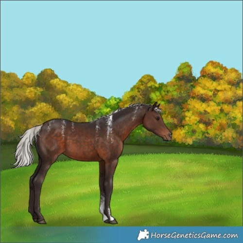 Horse Color:Powder White Silver Brown