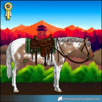 Horse Color:White Spotted Silver Brown Dun Tobiano Rabicano