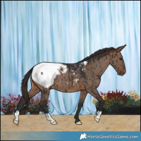 Horse Color:Brown Dun Snowcap Brindle