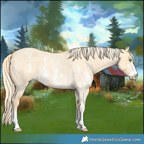 Horse Color:Gold Cream Champagne Roan Dun Sabino