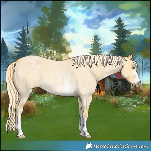 Horse Color:Palomino Roan Dun Sabino 