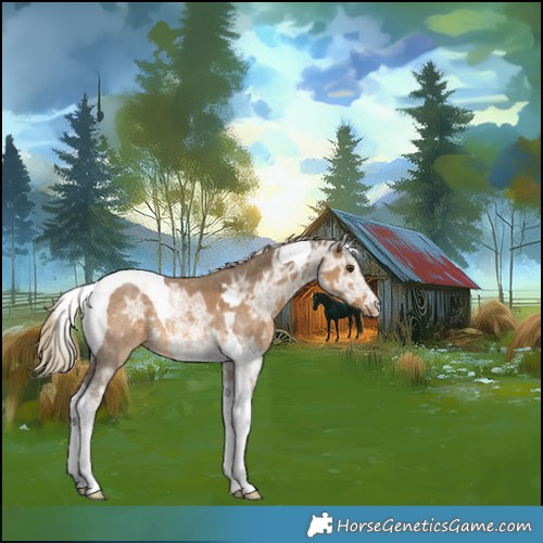 Horse Color:Chocolate Palomino Ice Sabino Tobiano