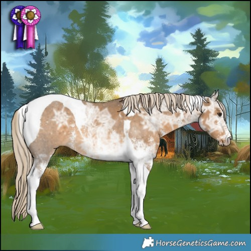 Horse Color:Chocolate Palomino Ice Sabino Tobiano 