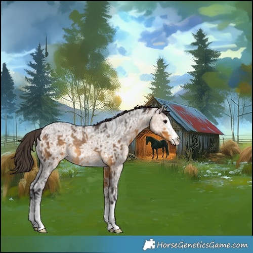Horse Color:Buckskin Ice Rabicano 