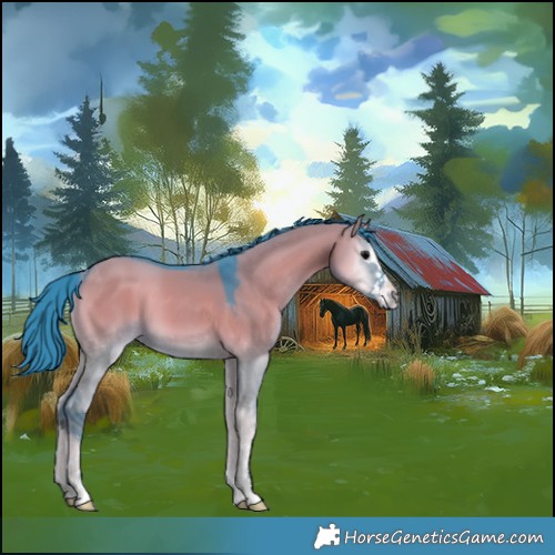 Horse Color:Watercolor Grullo Onyx Mushroom 