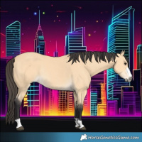 Horse Color:Buckskin Rabicano