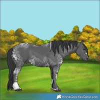 Horse Color:Black Ice Tobiano