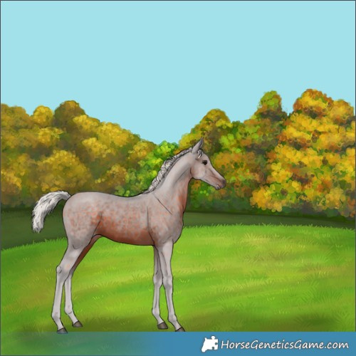 Horse Color:Silver Brown 