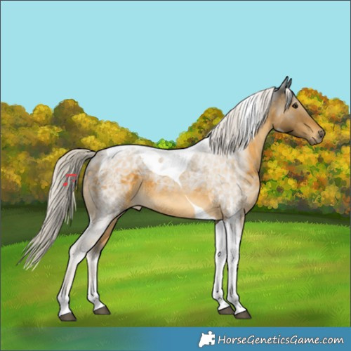 Horse Color:Silver Buckskin Tobiano 